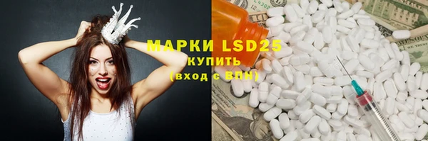 шишки Алексин