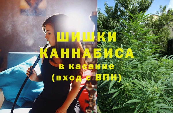 шишки Алексин