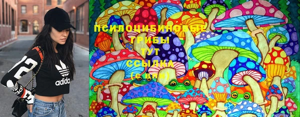 шишки Алексин